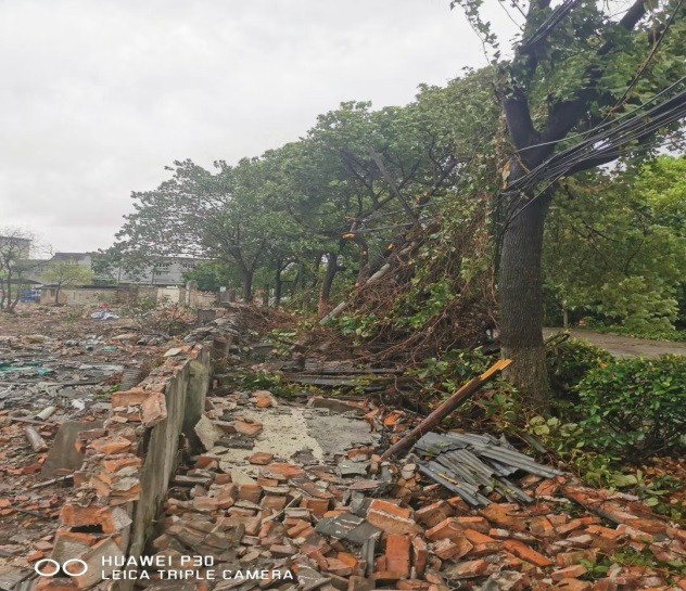 1568277262820790.jpg 1568277262820790.jpg