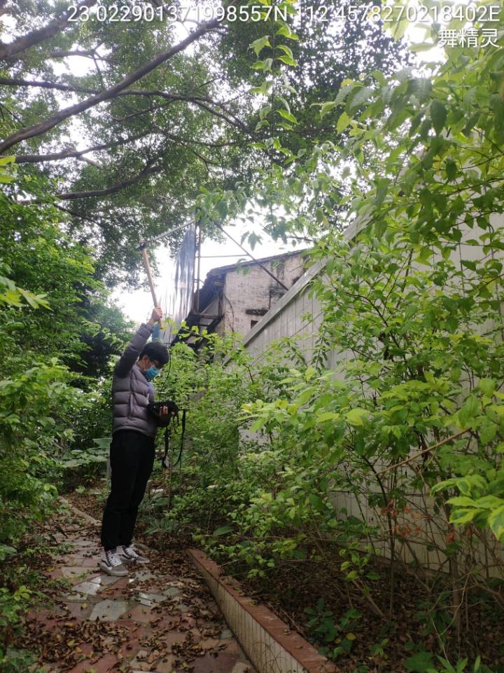 1582259366751143.jpg 1582259366751143.jpg