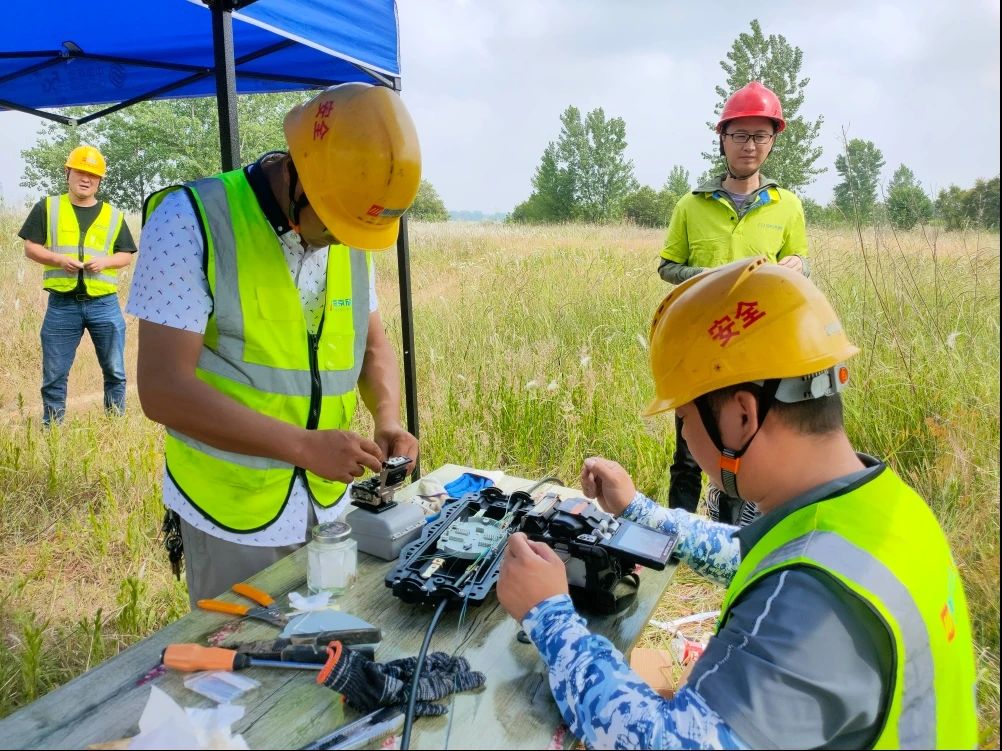 1737708643663089.jpg 1737708643663089.jpg