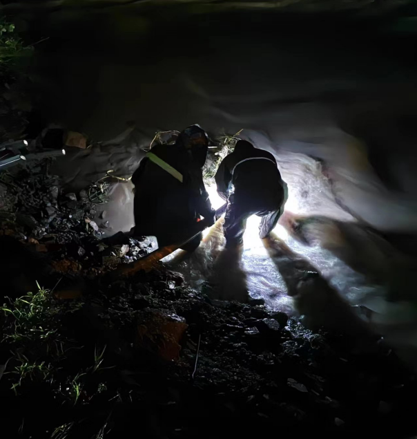 1737709028221287.png 图片关键词